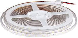 LED лента бяла 5 м дълга 12V DC 28W мощност 3600 lm IP20 LED лента бяла 5 м дълга 12V DC 28W мощност 3600 lm IP20
