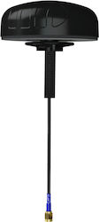 Active Gps Antenna Poynting Gps-0001-v2-01 Glonass