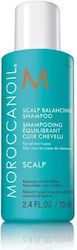Moroccanoil Scalp Balancing Moroccanoil Scalp Balancing
