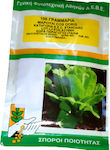 Geniki Fytotechniki Athinon Seeds Lettuce 100gr Romanian Green