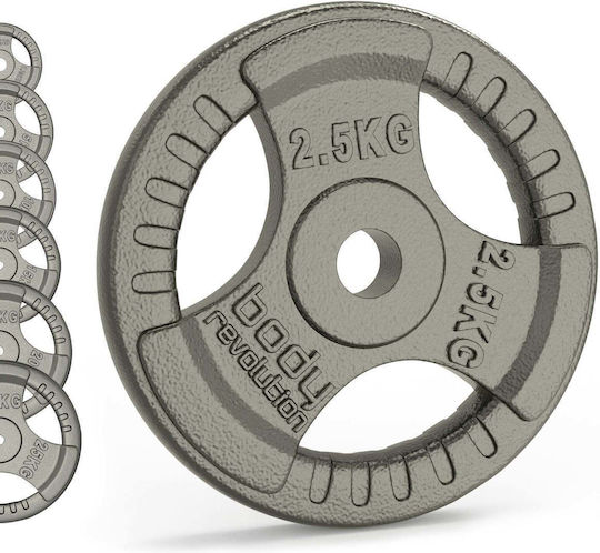 Set of Plates Metal 2 x 2.5kg with Handles