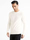 Celio Herren Pullover Ecru