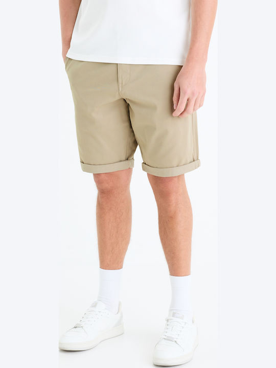 Celio