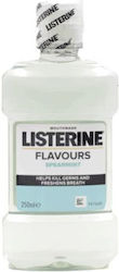 Listerine Mouthwash