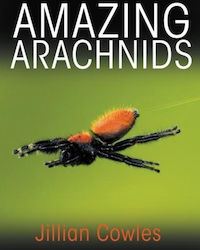 Amazing Arachnids