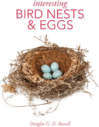 Interesting Bird Nests And Eggs