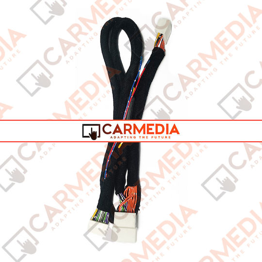 Carmedia Multimedia-Auto-Adapter für Mitsubishi