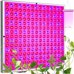Gardlov Πάνελ Grow Light 36W Gardlov Πάνελ Grow Light 36W