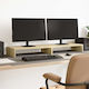 vidaXL Tabletop Suport pentru 2 Monitoare Steja...