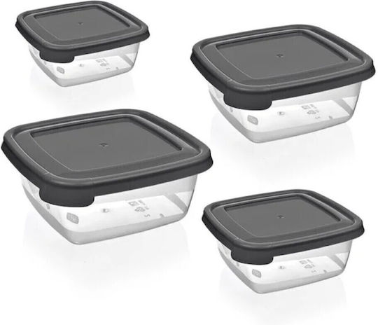 HS Aqua Lunchbox Kunststoff 4Stück