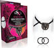 Blush Sx You Beginner's Harness σε Μαύρο Χρώμα