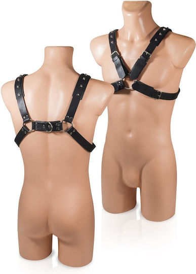 Bindings-whips Harness 2 Black