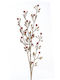 Golden Branch with Red Balls Vetur Bv 99445