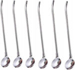 Set 6 Straws Spoon Zola Drinks Stainless Steel Length 22 Cm Inner Diameter 4 Mm