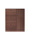 Wooden Shoe Organizer Brown 100x24x112cm