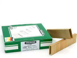 Heftklammern Typ H 30mm verzinkt Prebena H30cnkha 1 Box 3100 Stück Heftklammern Typ H 30mm verzinkt Prebena H30cnkha 1 Box 3100 Stück
