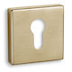 Convex 2145 Ματ Rosette - Door Escutcheon Knob