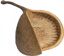 Nature4pets Βuddha Pods Xl Nature4pets Βuddha Pods Xl