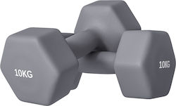 Sportnow Βαράκι Εξάγωνο 1 x 10kg Sportnow Βαράκι Εξάγωνο 1 x 10kg