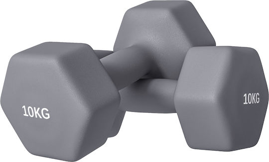 Sportnow Hanteln Sechseck 1 x 10kg