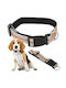 Hundehalsband in Orange Farbe 20cm