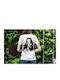 T-shirt White Cotton