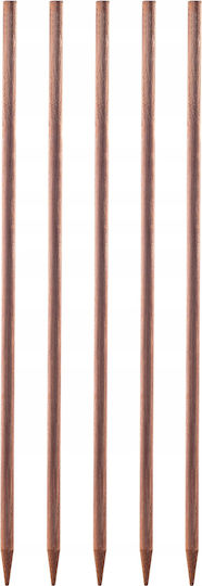 Kadax Plant Support Flowers Stakes Impregnated 5pcs