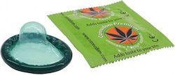 Plant Of Life Cannadom Condoms 100pcs