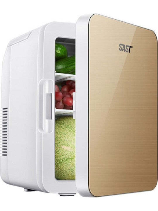Mini Cosmetic Refrigerator Flippy Dual Function Heating Cooling Portable Exterior 19x28x26 Cm Interior 14x24x15 Cm 8l Gold