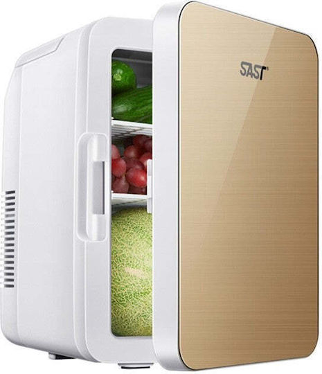 Mini Cosmetic Refrigerator Flippy Dual Function Heating Cooling Portable Exterior 19x28x26 Cm Interior 14x24x15 Cm 8l Gold