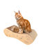 Creative Pets Cat Scratching Post Large 57 X 21 X 16 Cm Double-sided Scratching Cardboard Natural Scratching Post Durable Accessories Cats High-quality Cardboard