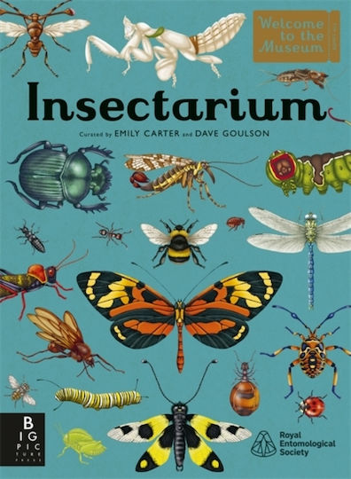 Insectarium - Templar Publishing - Hardback Insectarium - Templar Publishing - Hardback