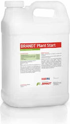 Brandt Plant Start 1lt