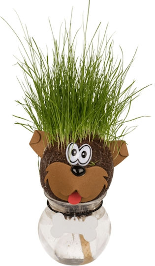Out of the Blue Decorative Jar Garden Plastic Dog 12cmx6cm