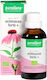 Purasana Echinacea Forte 50ml