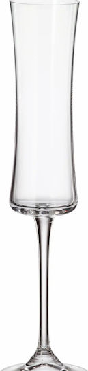 Novaker Champagner Kelch Kristall