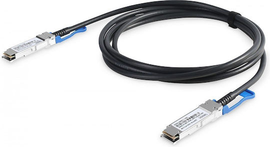Digitus Direktbefestigung Kupfer Ethernet-Netzwerkkabel 2m Schwarz 1Stück