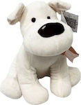 Dog Nikus White 23cm