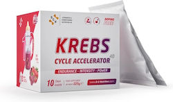 S-C-Nutrition Krebs Cycle Accelerator 10 Sachets S-C-Nutrition Krebs Cycle Accelerator 10 Sachets
