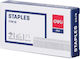 Staple Wires 1000pcs 53/8 Deli T70110