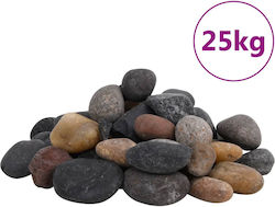 vidaXL Χώμα / Υπόστρωμα 25kg