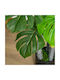 Изкуствено растение в саксия Monstera Green 120см