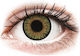 Alcon One Day Color 10 Ημερήσιοι Έγχρωμοι Φακοί Επαφής Pure Hazel