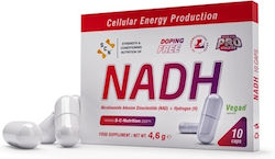 S-C-Nutrition 10mg 10 capace S-C-Nutrition 10mg 10 capace