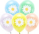 Latex Balloons Pastel Daisies 5 Pcs