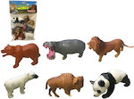 Zoo Animal Set 6pcs