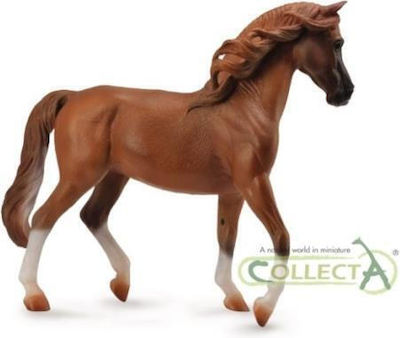 Arabian Mare Masci Chestnut