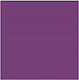 Χαρτόνι Κανσόν Chroma 50x70cm Purple Μωβ 5022