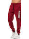 Sweatpants with Elastic Bordo 1425