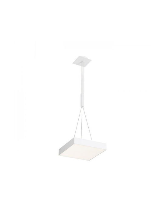 Rendl Light Studio Pendant Chandelier